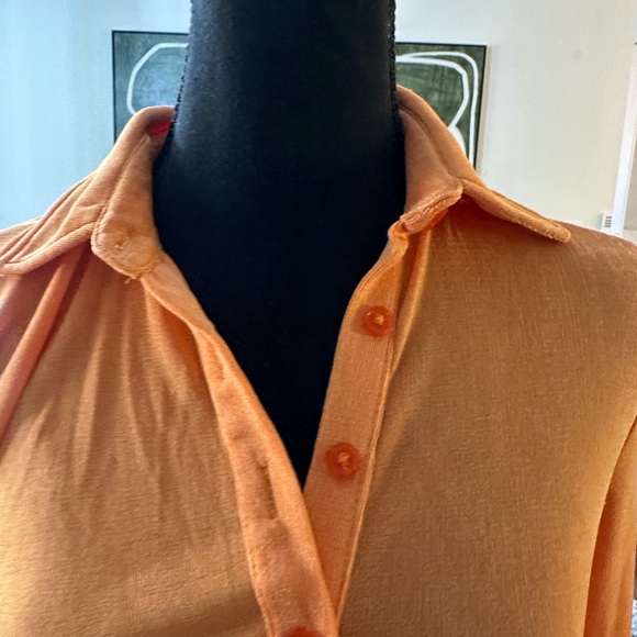 Orange Button-Up Ruched Dress - Picture 3 of 6